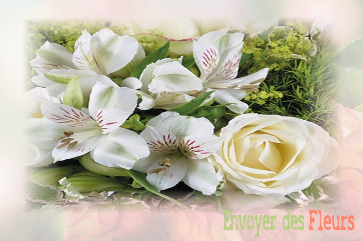 envoyer des fleurs à à DAMPVALLEY-SAINT-PANCRAS